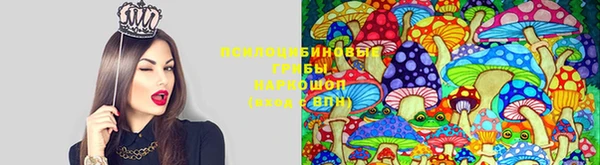 трава Кодинск