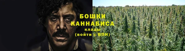 гидра Козельск