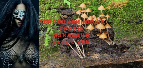 твердый Козловка