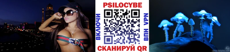Псилоцибиновые грибы мицелий  Купить закладки  Поворино 